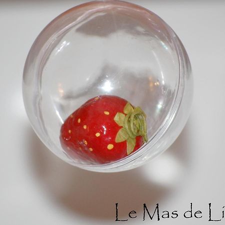 Maison D'Hotes Le Mas De Lila 베르 퐁 뒤 가르 외부 사진